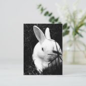 Briefkaart-dieren-26 Briefkaart (Staand voorkant)