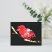 Briefkaart-dieren-35 Briefkaart (Staand voorkant)