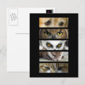 Briefkaart - Dierogen (Voorkant / Achterkant)