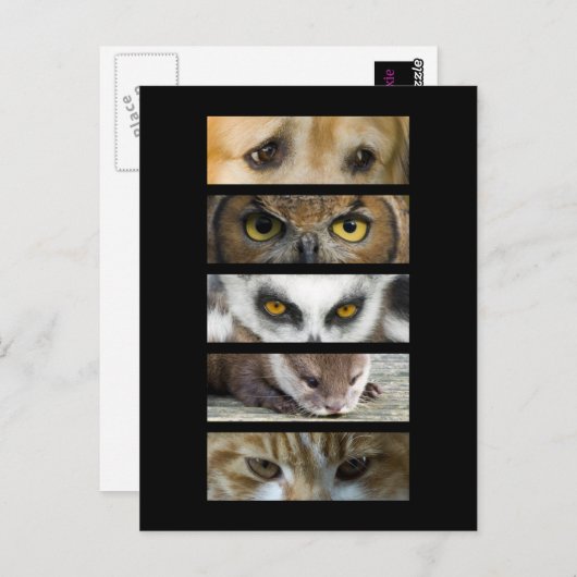 Briefkaart - Dierogen (Voorkant / Achterkant)