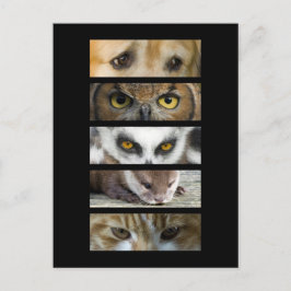 Briefkaart - Dierogen