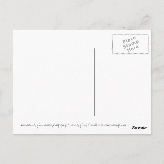 briefkaart dinosauriërs (Achterkant)