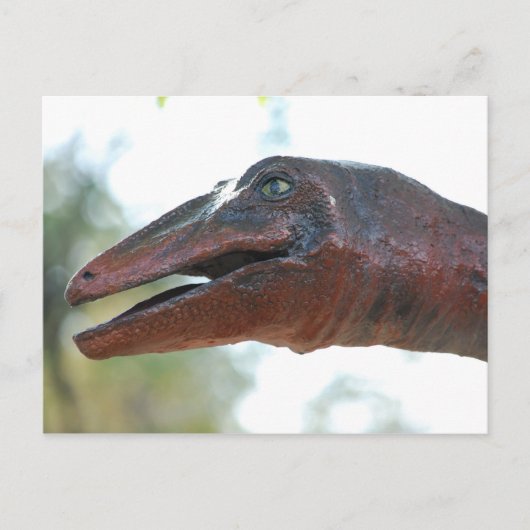 briefkaart _ Dinosaurus (Voorkant)