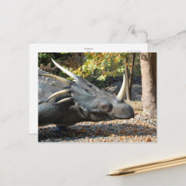 briefkaart _ Dinosaurus _ Triceratops