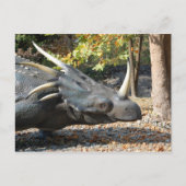 briefkaart _ Dinosaurus _ Triceratops (Voorkant)