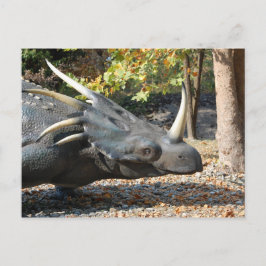briefkaart _ Dinosaurus _ Triceratops