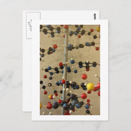 Briefkaart-DNA-model Briefkaart (Voorkant / Achterkant)