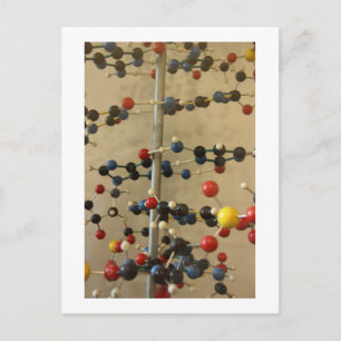 Briefkaart-DNA-model Briefkaart