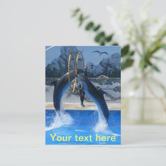 Briefkaart dolfijn (Staand voorkant)