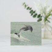  Briefkaart Dolphin (Staand voorkant)