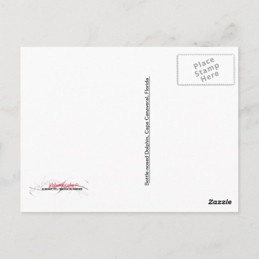  Briefkaart Dolphin (Achterkant)