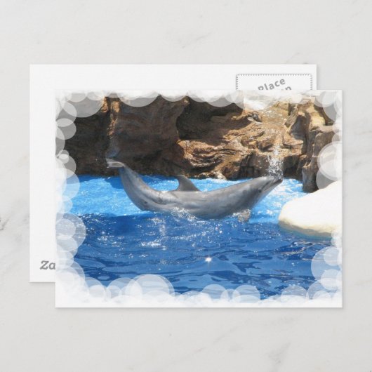 Briefkaart Dolphin Tricks (Voorkant / Achterkant)