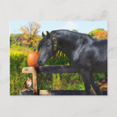 briefkaart "Donatella" (Voorkant)