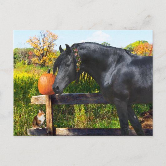 briefkaart "Donatella" (Voorkant)