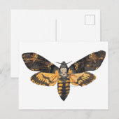 Briefkaart Doodshoofdmot (Voorkant / Achterkant)