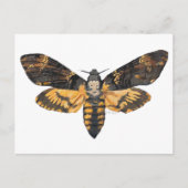 Briefkaart Doodshoofdmot (Voorkant)