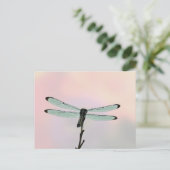 Briefkaart Dragonfly ion Pastels (Staand voorkant)