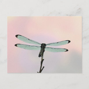 Briefkaart Dragonfly ion Pastels