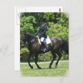 Briefkaart Dressage Tests (Voorkant / Achterkant)