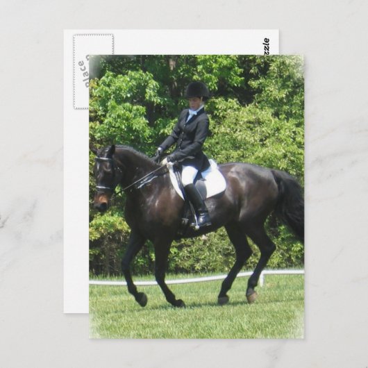 Briefkaart Dressage Tests (Voorkant / Achterkant)