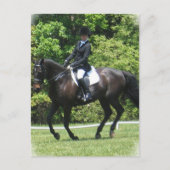 Briefkaart Dressage Tests (Voorkant)