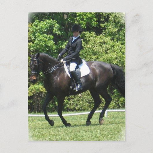 Briefkaart Dressage Tests (Voorkant)