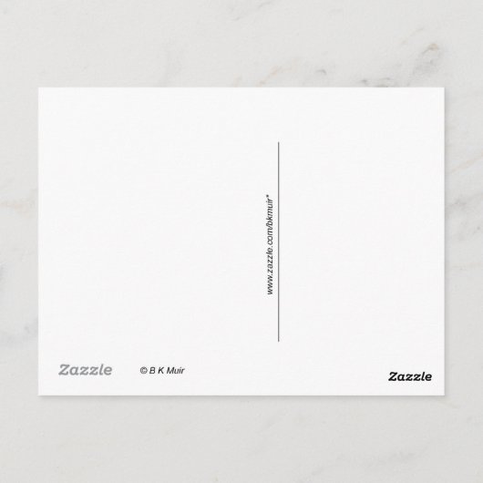 Briefkaart - Drie Alpaca (Achterkant)