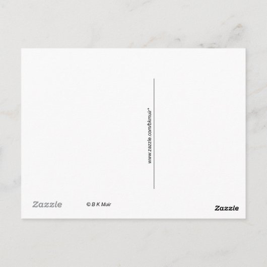 Briefkaart - Drie schapen (Achterkant)