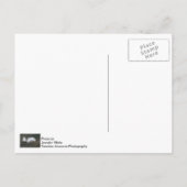 Briefkaart drijvende ganzen veren (Achterkant)