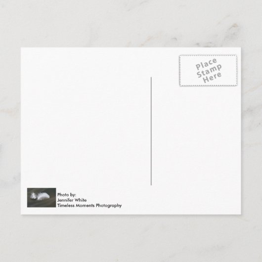 Briefkaart drijvende ganzen veren (Achterkant)