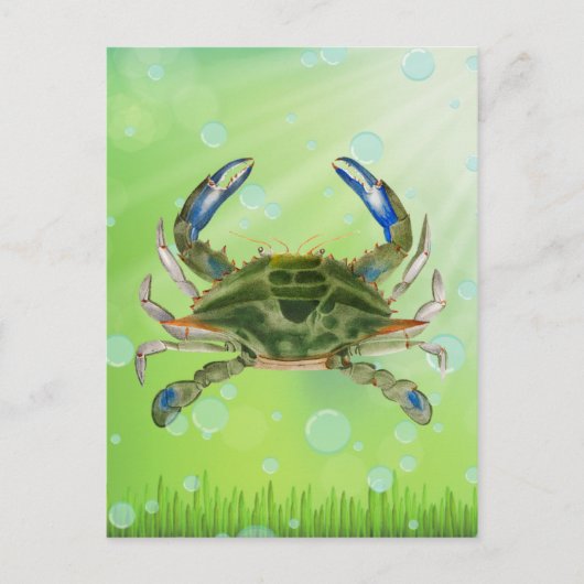 Briefkaart drijvende krab (Voorkant)