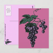 Briefkaart druiven van druiven (Voorkant / Achterkant)