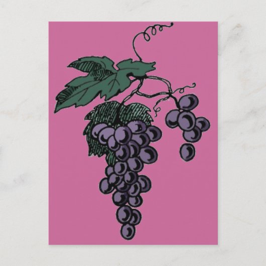 Briefkaart druiven van druiven (Voorkant)