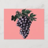 Briefkaart druiven van druiven (Voorkant)