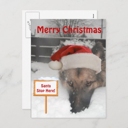 Briefkaart Duitse herder Kerstman Stop Hier Teken (Voorkant / Achterkant)
