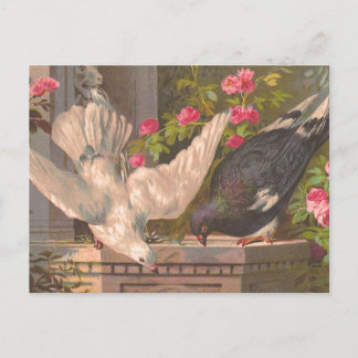 Briefkaart "Duiven en Witte Dove"