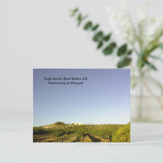 Briefkaart: Eagle Castle ziet zijn wijngaard over  Briefkaart (Staand voorkant)