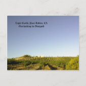 Briefkaart: Eagle Castle ziet zijn wijngaard over  Briefkaart (Voorkant)