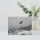 Briefkaart Eagle Snowy Mountains (Staand voorkant)