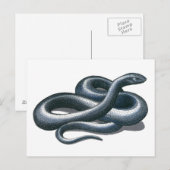 Briefkaart Eastern Indigo Snake (Voorkant / Achterkant)