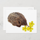 Briefkaart Echidna en Frangipani (Voorkant / Achterkant)