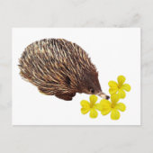 Briefkaart Echidna en Frangipani (Voorkant)