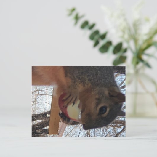 Briefkaart eekhoorn (Staand voorkant)