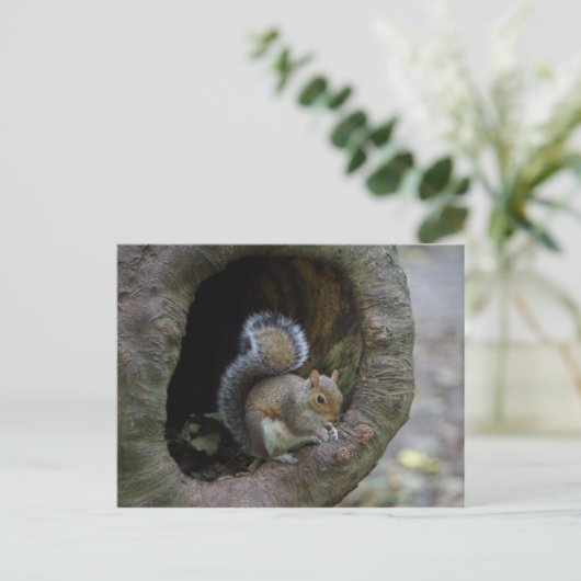 Briefkaart eekhoorn (Staand voorkant)