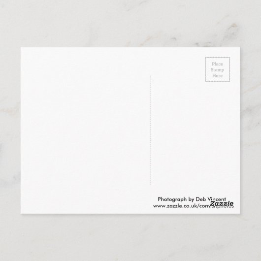 Briefkaart eekhoorn (Achterkant)