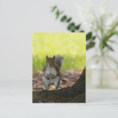 Briefkaart eekhoorn (Staand voorkant)