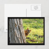 Briefkaart eekhoorn (Voorkant / Achterkant)