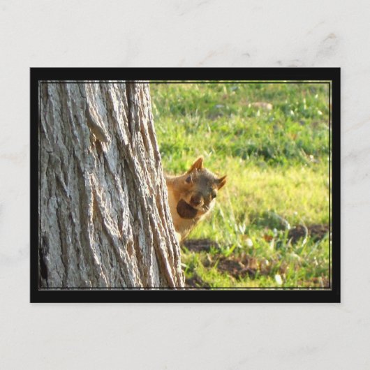 Briefkaart eekhoorn (Voorkant)