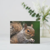 Briefkaart eekhoorn (Staand voorkant)