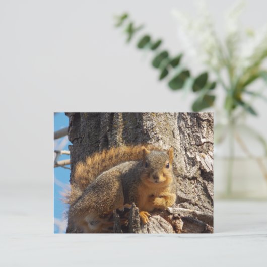 Briefkaart eekhoorn (Staand voorkant)